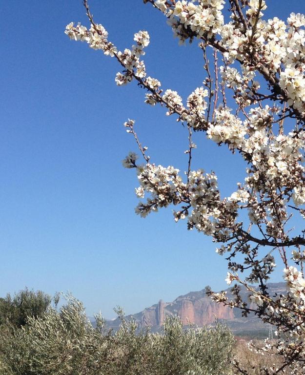 Penzion Alen D'Aragon Santa Eulalia de Gállego Exteriér fotografie